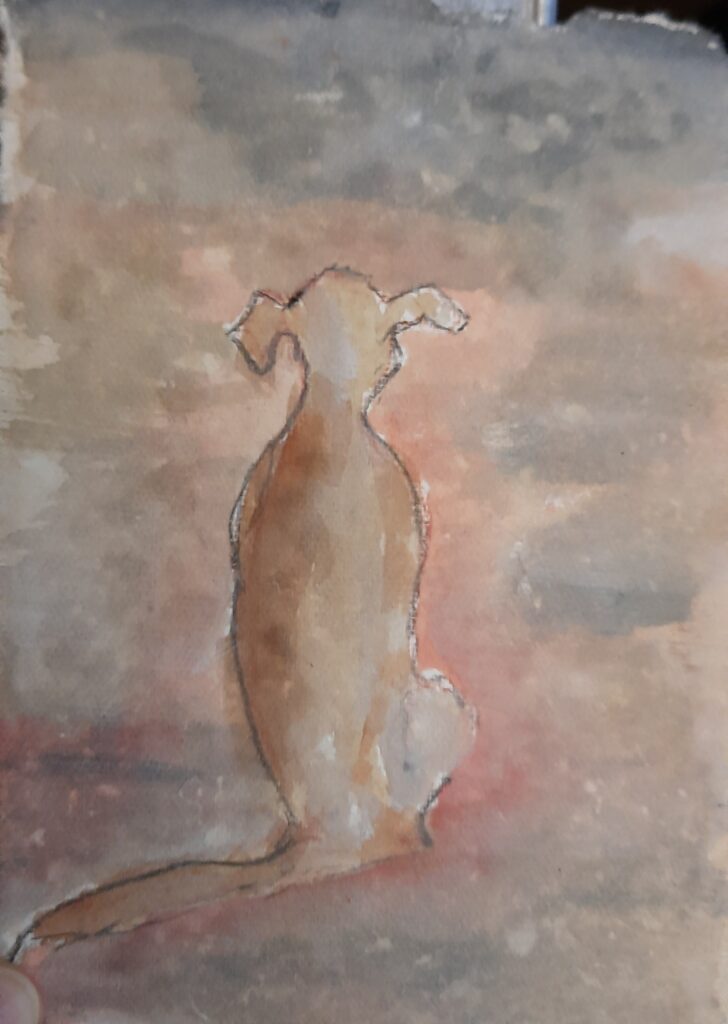 Aquarel Hond 13 bij 18 cm