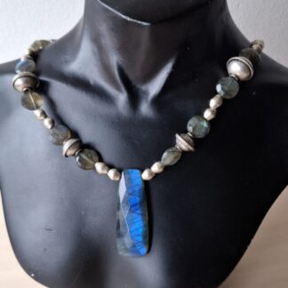 Labradoriet met Berber