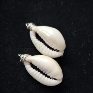 Kauri hangertjes zilver