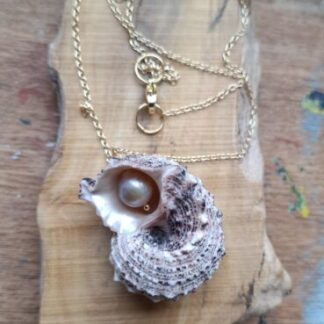 Schelp met zoetwaterparel aan ketting