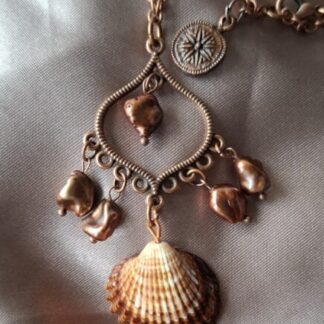 Zoetwaterparels aan schelp