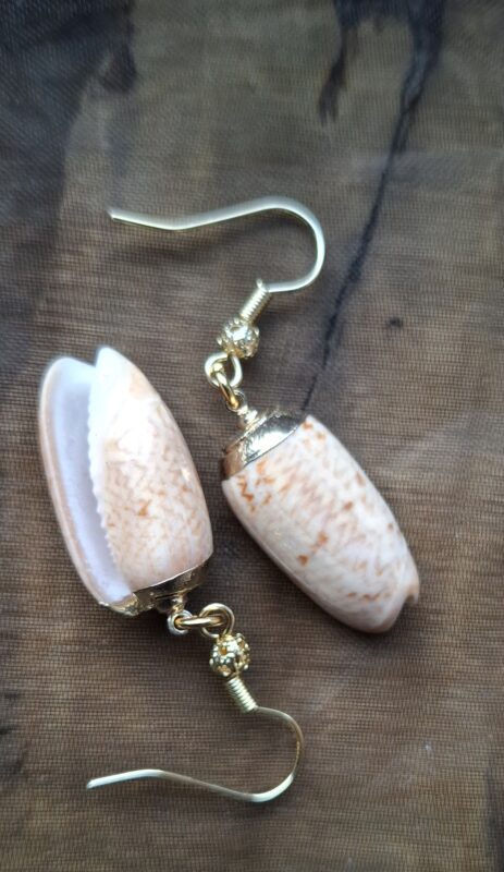 Kauri schelpjes goldplated - Afbeelding 9