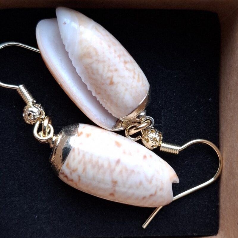 Kauri schelpjes goldplated - Afbeelding 8