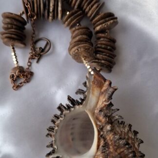 Grote schelp met schijfkralen