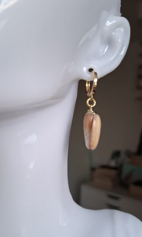 Kauri schelpjes goldplated