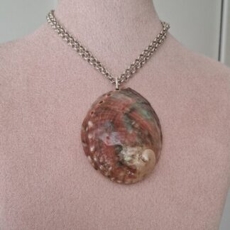 Abalone schelp aan zilver