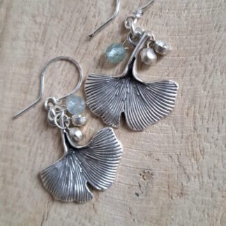 Ginko blaadjes geoxideerd