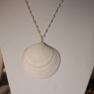 Grote schelp een pareltjes ketting