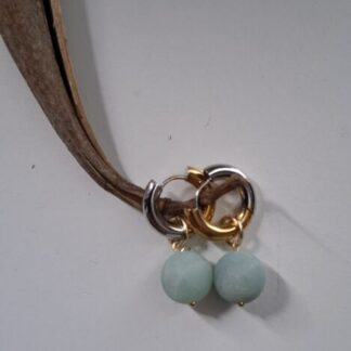 creolen/ ringen goud/zilver