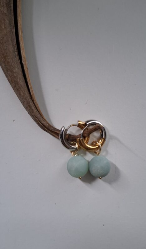 creolen/ ringen goud/zilver